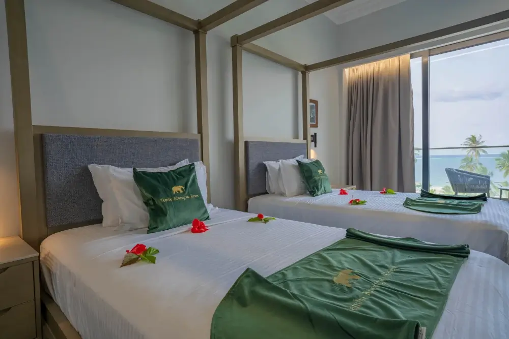 Deluxe Suite 1