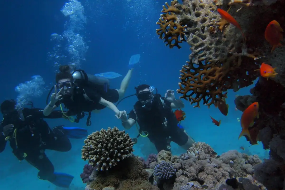 Diving activities