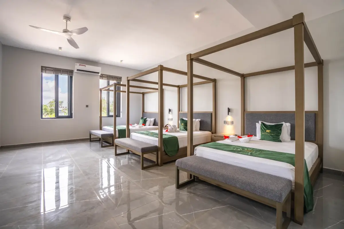Deluxe Suite 1